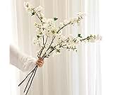 RyddeligHome Cherry Blossom Branches